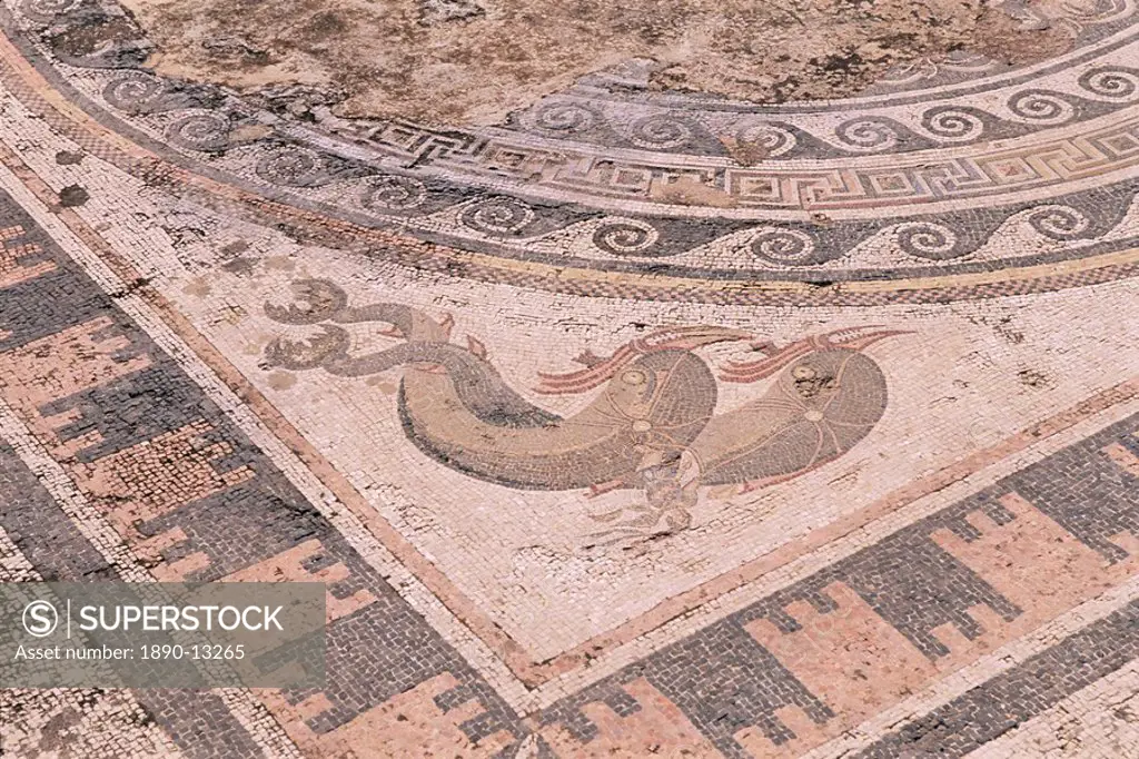 Mosaic in the House of the Dolphins, archaeological site, Delos, UNESCO World Heritage Site, Cyclades islands, Greece, Europe