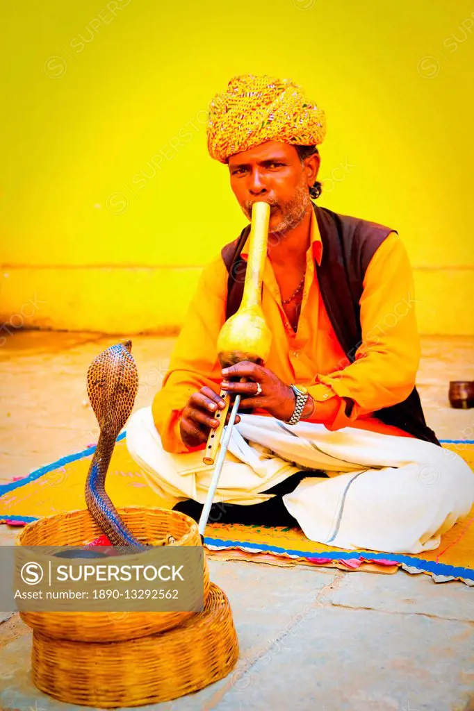 Snake charmer, Old Delhi, India, Asia