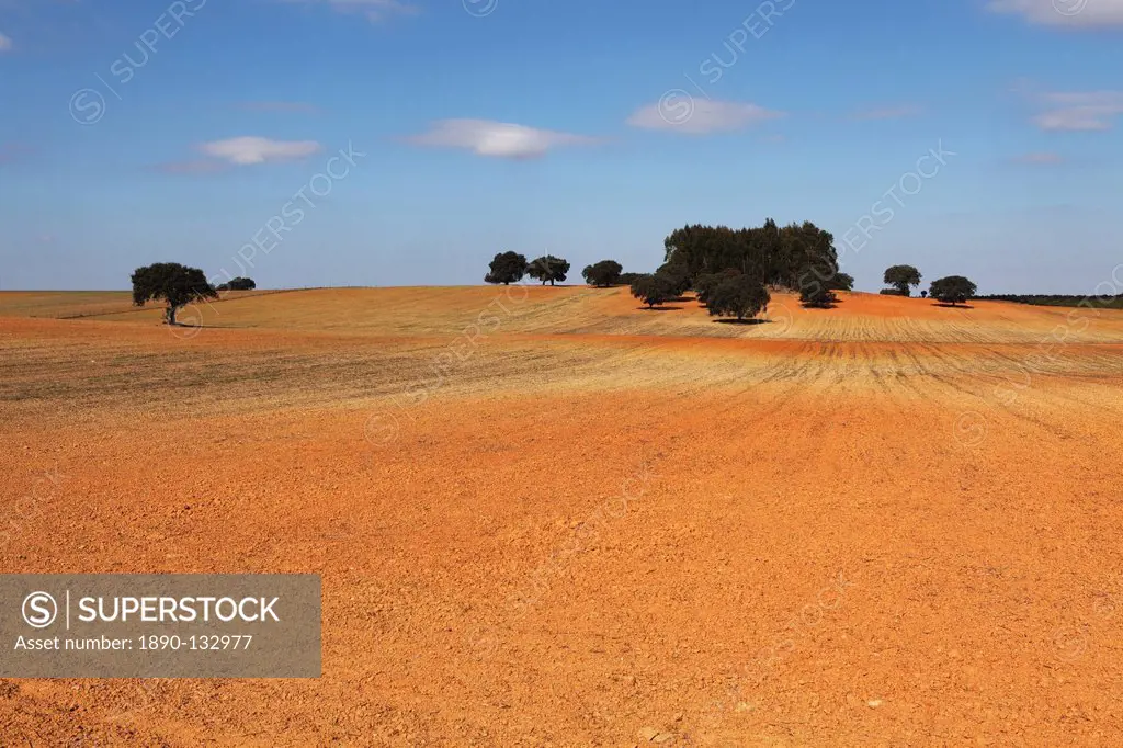 A field of orange_red earth, typical of rural land of the region, close to Mertola in the Alentejo, Portugal, Europe