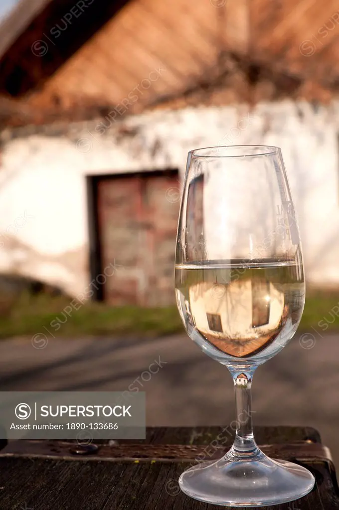 Glass of white wine Riesling at wine cellar, village of Vlkos, Brnensko, Czech Republic, Europe