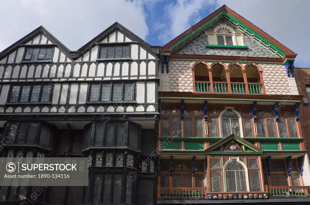 Timbered and decorated buildings on the High Street, Exeter, Devon, England, United Kingdom, Europe