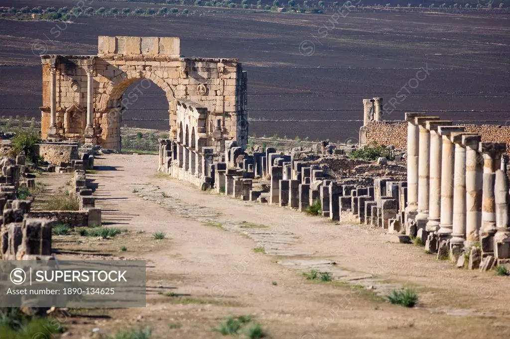 Triumph Arch in Roman ruins, Volubilis, UNESCO World Heritage Site, Morocco, North Africa, Africa
