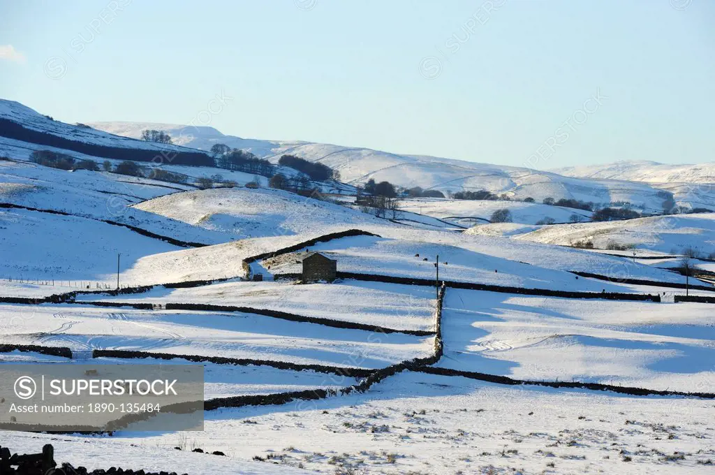 Winter view of snow covered fields, Wensleydale, Yorkshire Dales National Park, North Yorkshire, England, United Kingdom, Europe