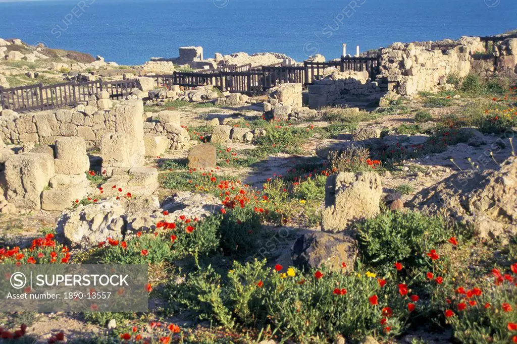 Punic and Roman ruins of city founded by Phoenicians in 730BC, Tharros, island of Sardinia, Italy, Mediterranean, Europe