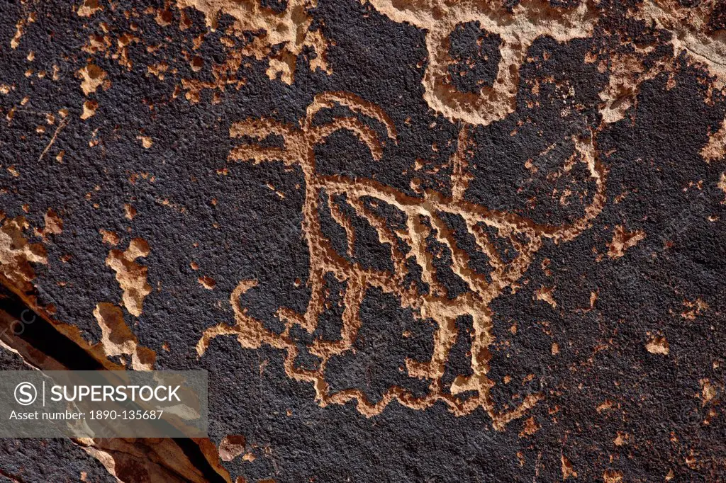 Bighorn sheep petroglyph, Petrified Forest National Park, Arizona, United States of America, North America