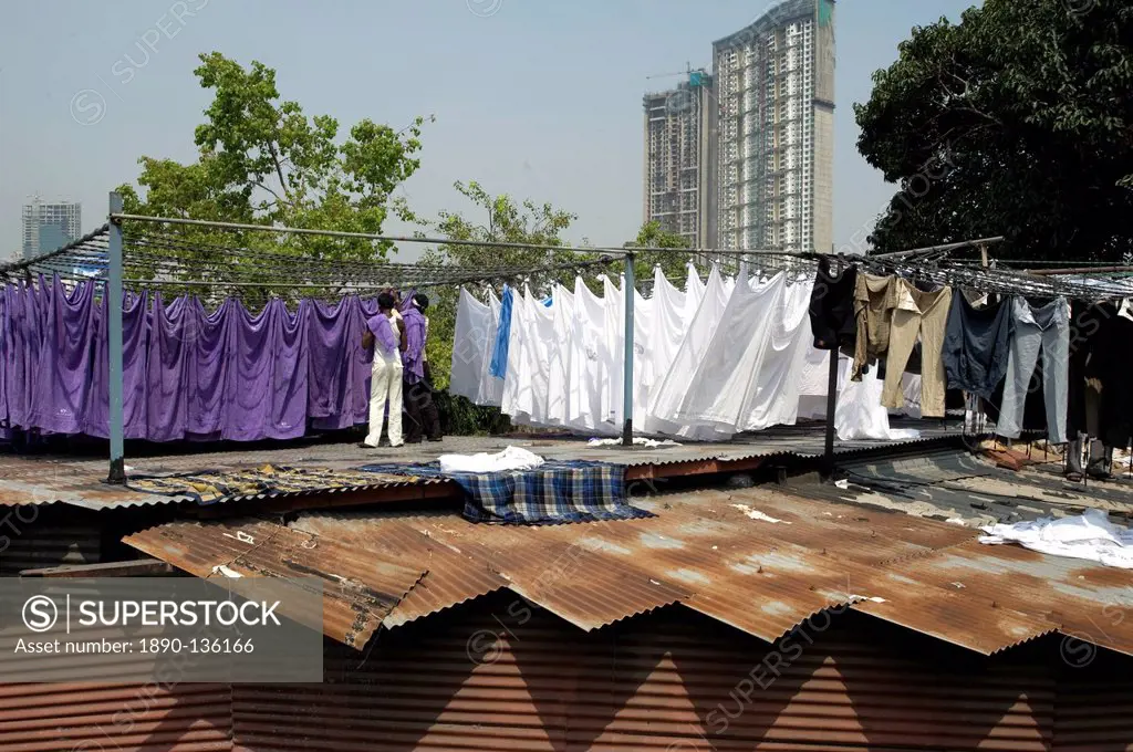 Laundrymen dhobi wallah, sorting laundry by colour on corrugated iron roofs, Mahalaxmi dhobi ghats, Mumbai, India, Asia