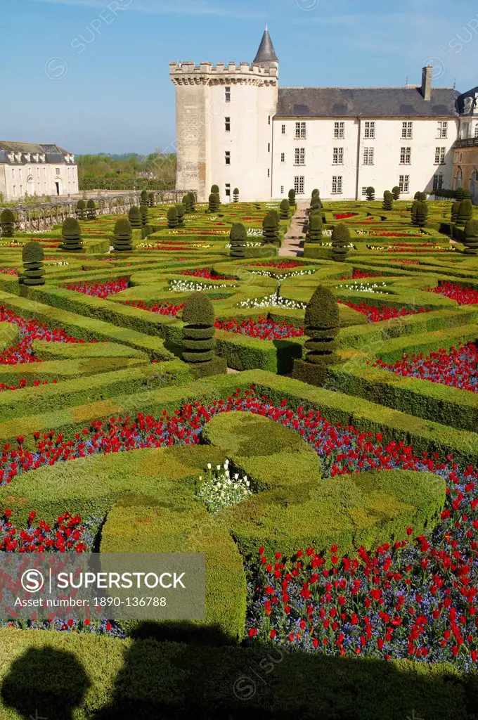 Chateau de Villandry and garden, UNESCO World Heritage Site, Loire Valley, Indre et Loire, France, Europe