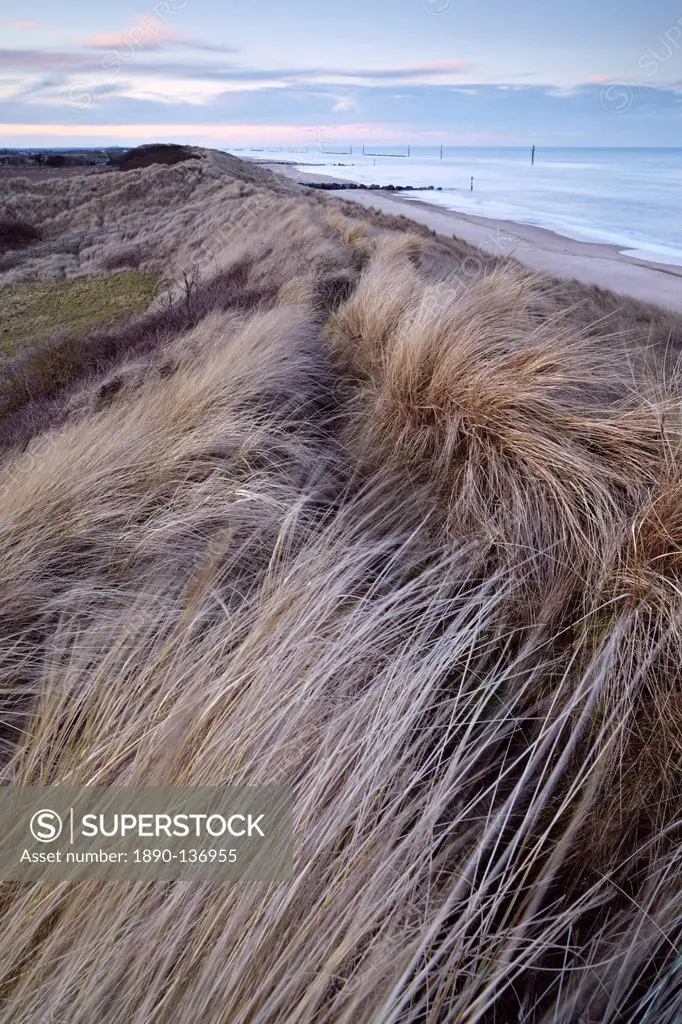 Subtle light on the dunes at Waxham, Norfolk, England, United Kingdom, Europe