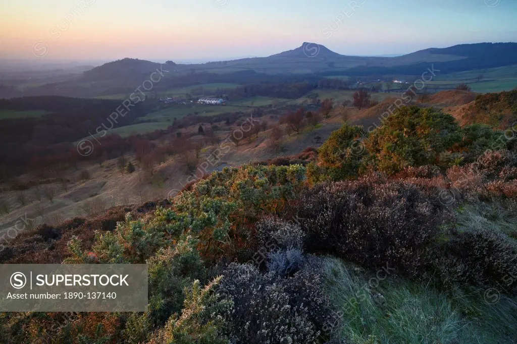 A spring evening view from Gribdale Gate across to Roseberry Topping, North Yorkshire Moors, North Yorkshire, Yorkshire, England, United Kingdom, Euro...