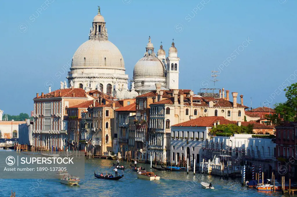 The Church of Santa Maria della Salute and the Grand Canal, viewed from the Academia Bridge, Venice, UNESCO World Heritage Site, Veneto, Italy, Europe