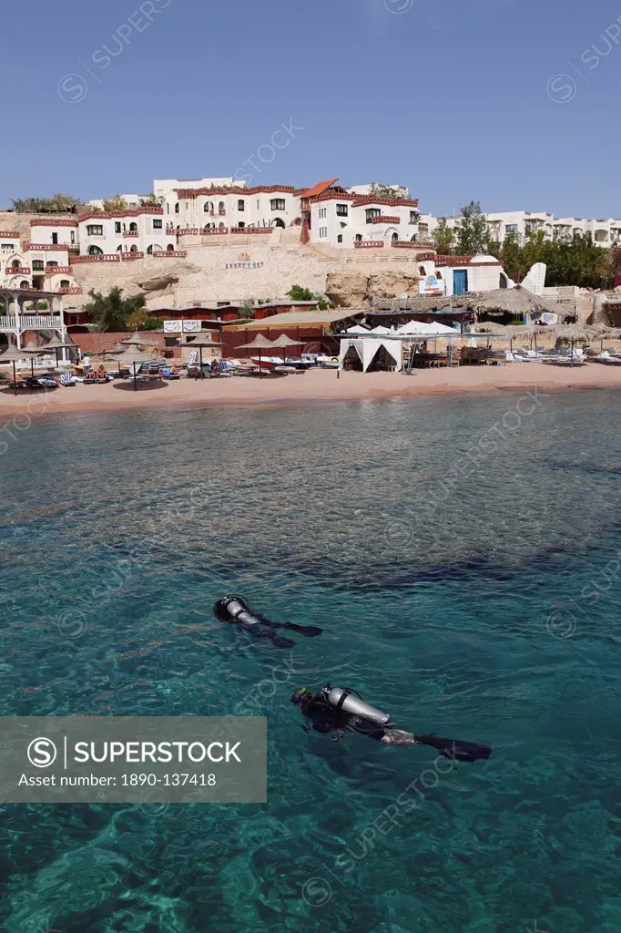 Scuba divers enjoy the clear Red Sea waters at Sharks Bay, Sharm el_Sheikh, Sinai South, Egypt, North Africa, Africa