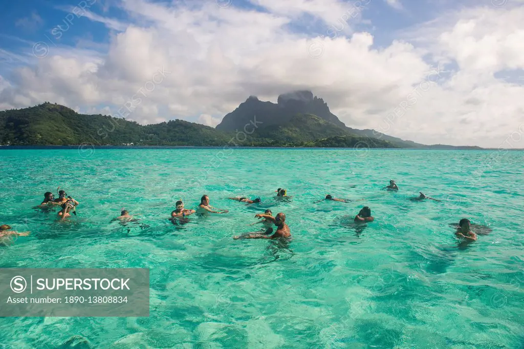 Tourists swimming with sting rays, Bora Bora, Society Islands, French Polynesia, Pacific