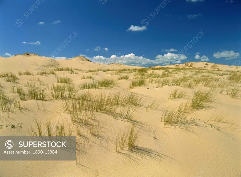 Landscape of sand and grass at Pointe de la Coubre near Royan in the Charente_Maritime, Poitou Charentes, France, Europe
