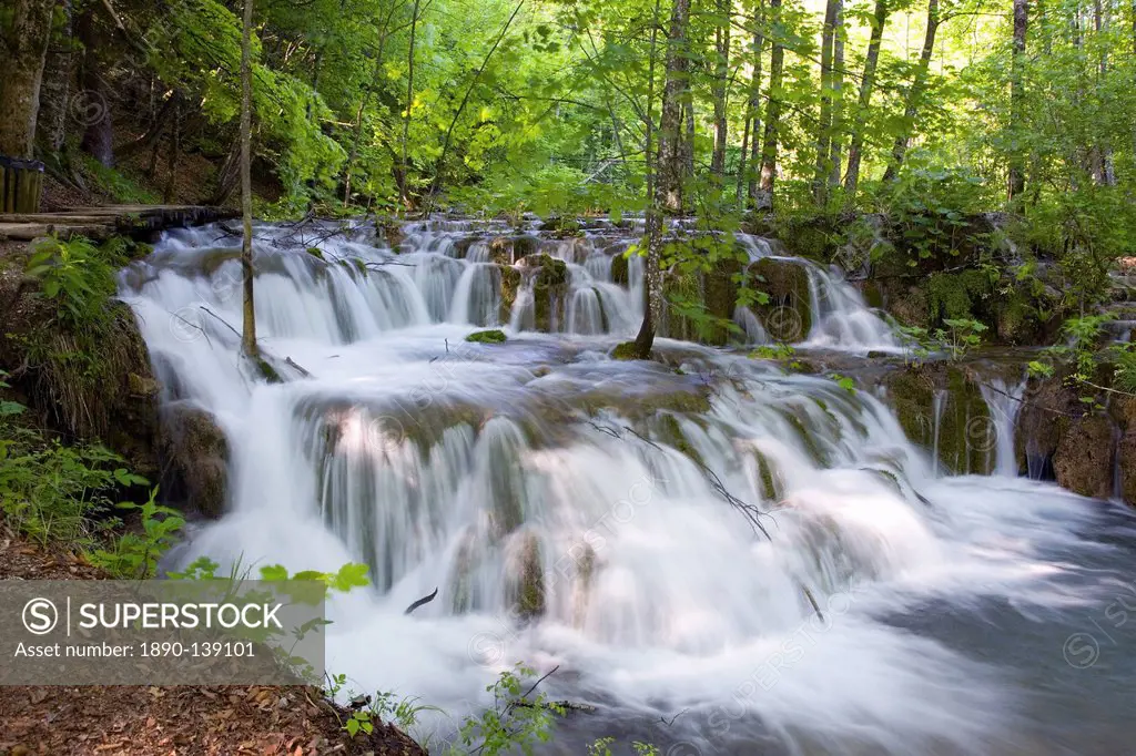 Attractive cascades amongst woodland, Plitvice Lakes National Park Plitvicka Jezera, UNESCO World Heritage Site, Lika_Senj County, Croatia, Europe