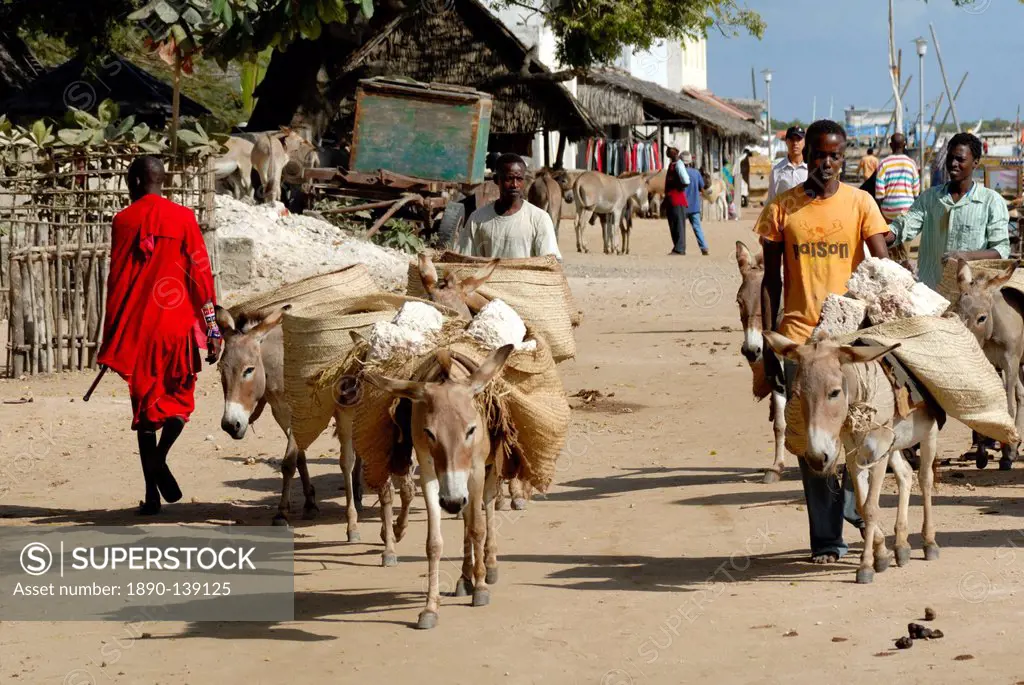 Donkey transport, Old Town, UNESCO World Heritage Site, Lamu island, Kenya, East Africa, Africa