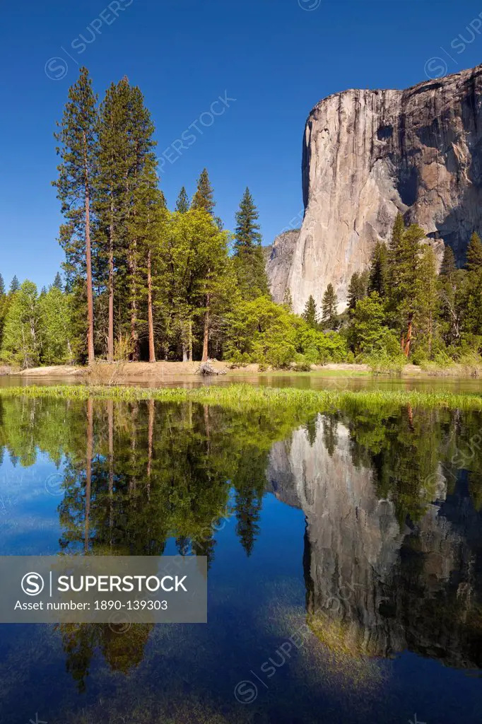 El Capitan, a 3000 feet granite monolith, with the Merced River flowing through the flooded meadows of Yosemite Valley, Yosemite National Park, UNESCO...