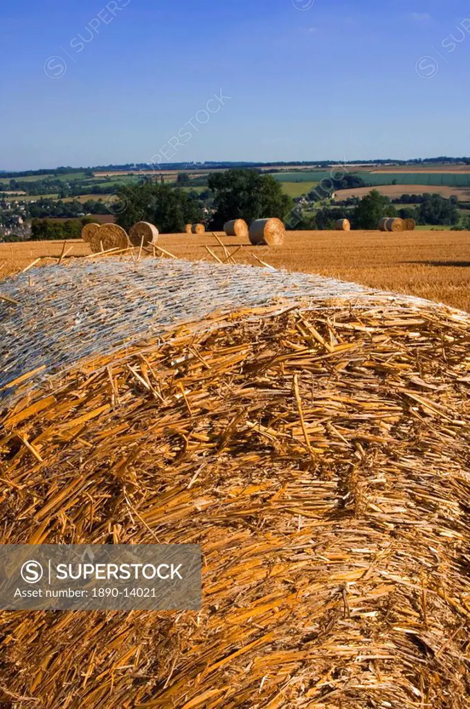 Hay bales, seen from the Cotswolds Way footpath, The Cotswolds, Gloucestershire, England, United Kingdom, Europe
