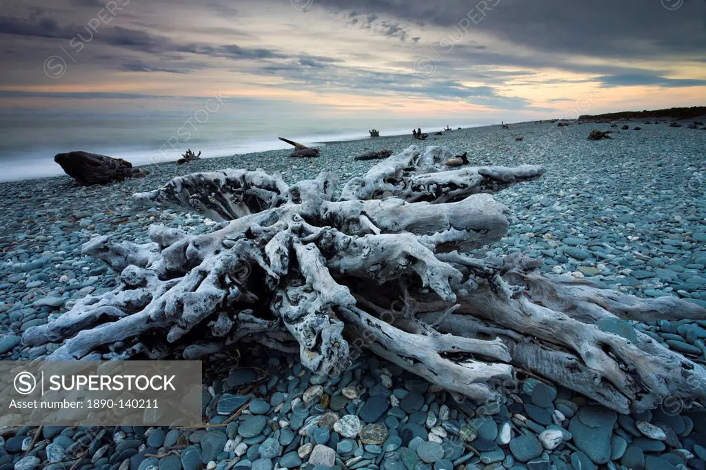 Driftwood along Gillespies Beach on the West Coast of South Island, New Zealand, Pacific