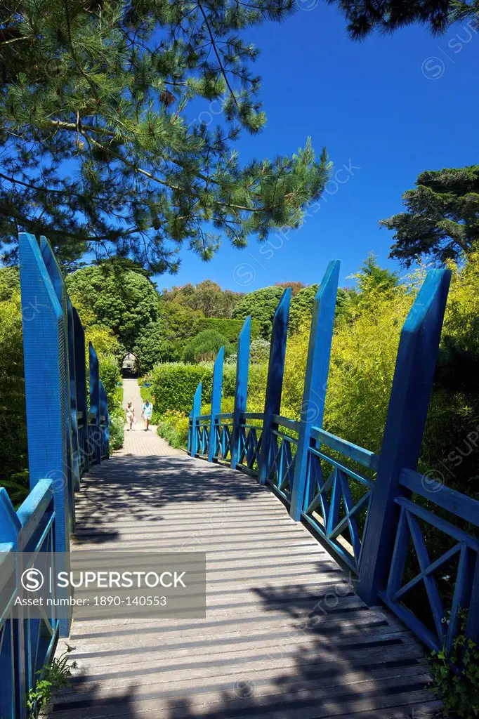 Blue Japanese_style bridge in the sub_tropical Abbey Gardens, Island of Tresco, Isles of Scilly, England, United Kingdom, Europe