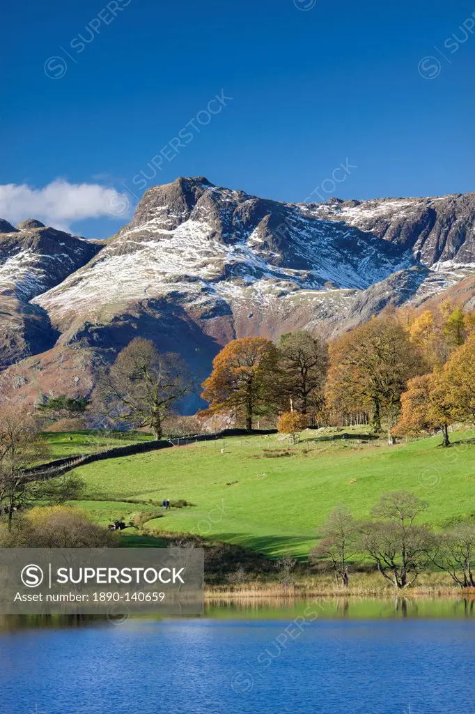 Snow dusted Langdale Pikes viewed from the shores of Loughrigg Tarn in autumn, Lake District National Park, Cumbria, England, United Kingdom, Europe