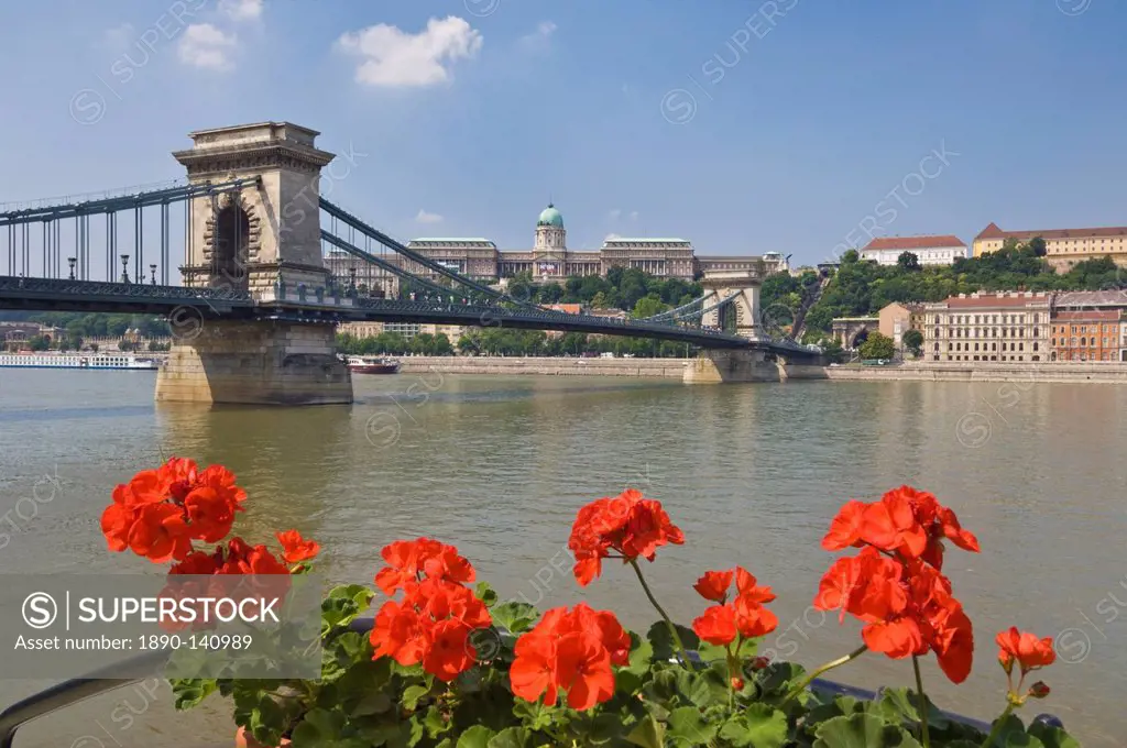 Red geraniums and the Chain Bridge Szechenyi Lanchid over the River Danube, with the Hungarian National Gallery, behind, UNESCO World Heritage Site, B...