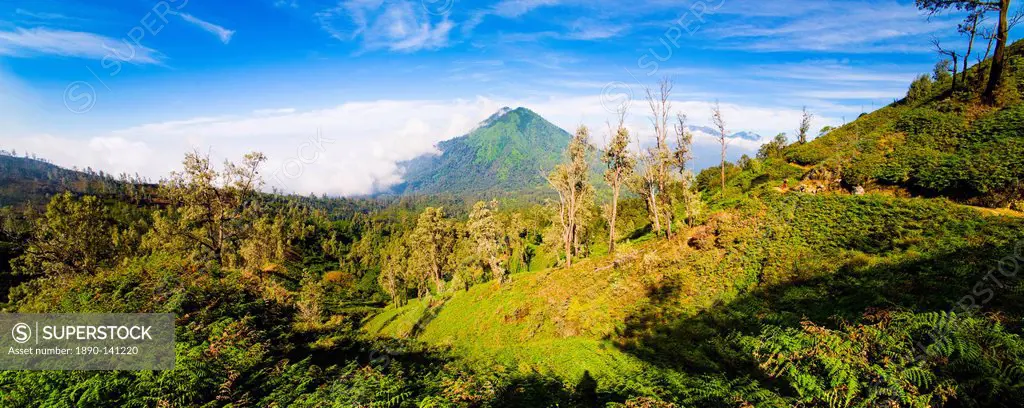 Landscape on the walk up Kawah Ijen, Java, Indonesia, Southeast Asia, Asia
