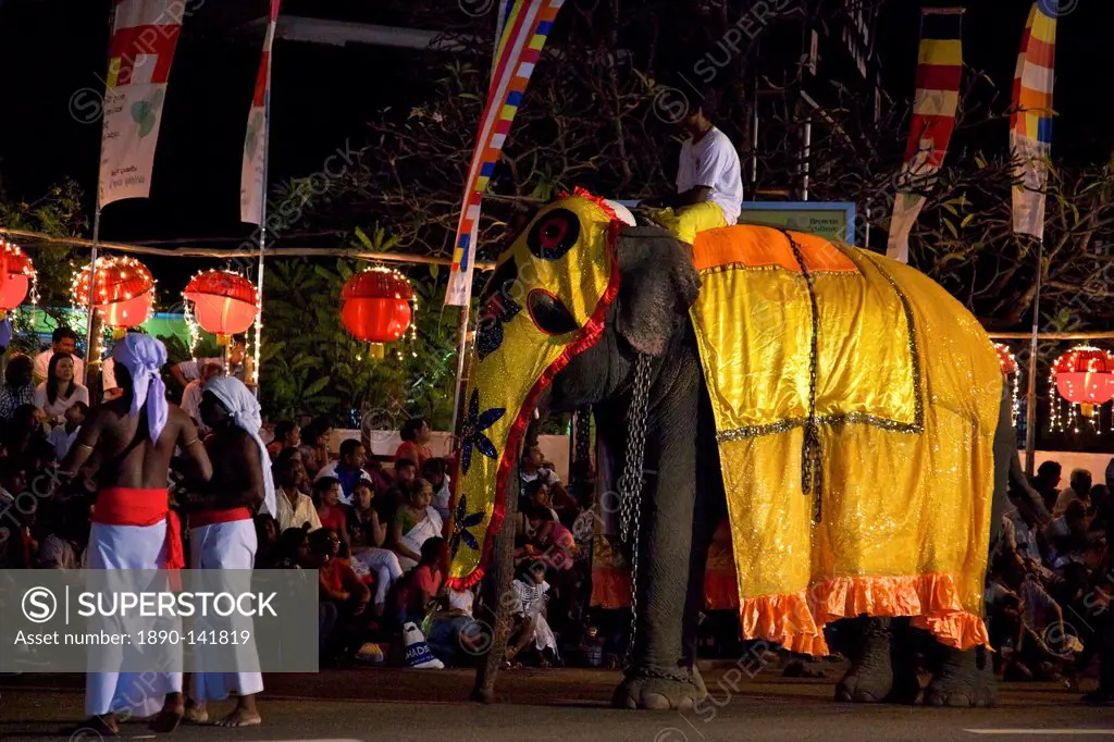 Ceremonial elephant in the Navam Maha Perahera, Colombo, Sri Lanka, Asia