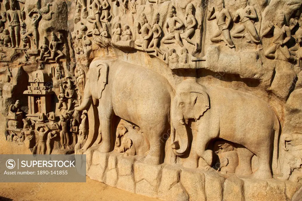 Arjuna´s Penance granite carvings, Mamallapuram Mahabalipuram, UNESCO World Heritage Site, Tamil Nadu, India, Asia