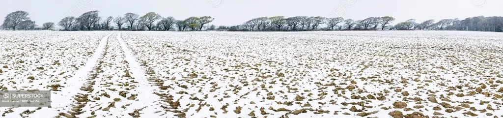 Light dusting of snow on ploughed field, West Sussex, England, United Kingdom, Europe