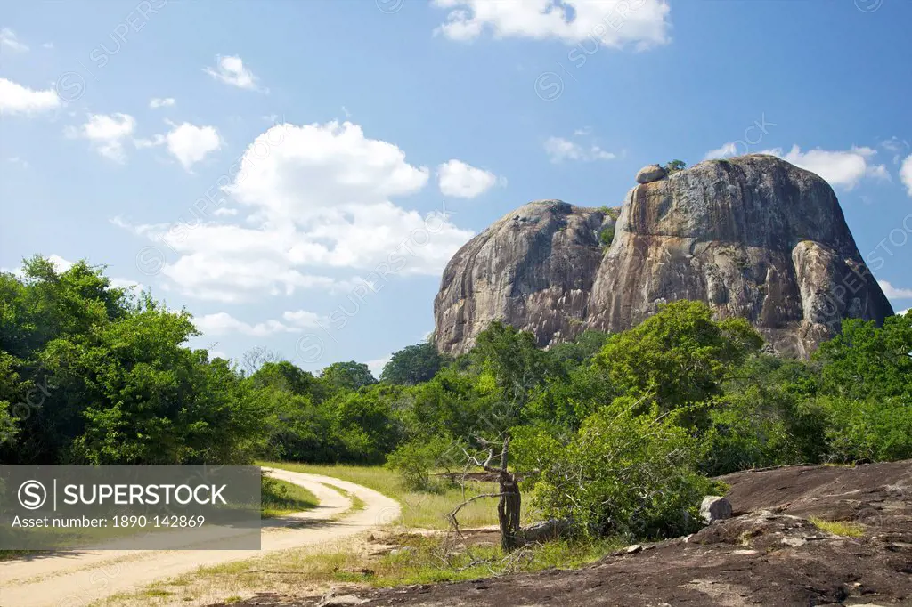 Elephant Rock from forest track, Yala National Park, Sri Lanka, Asia