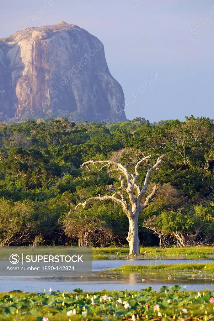 Lake and view of Elephant Rock in late afternoon, Yala National Park, Sri Lanka, Asia