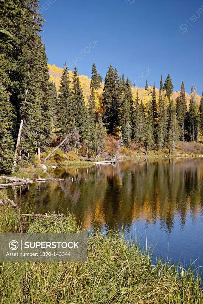 Silver Lake in the fall, Wasatch_Cache National Forest, Utah, United States of America, North America