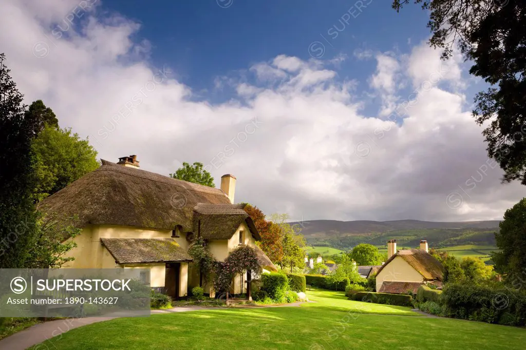 Thatched cottages in the picturesque village of Selworthy, Exmoor National Park, Somerset, England, United Kingdom, Europe