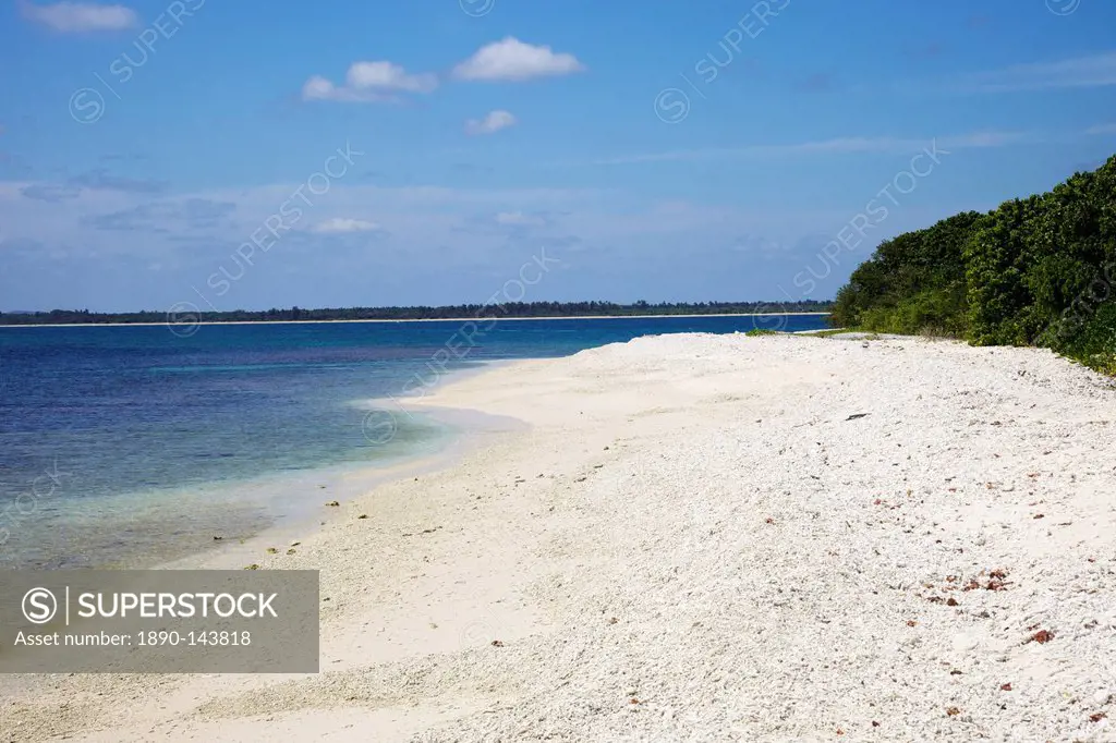 View of coral beach on Pigeon Island National Park, Trincomalee, Sri Lanka, Asia