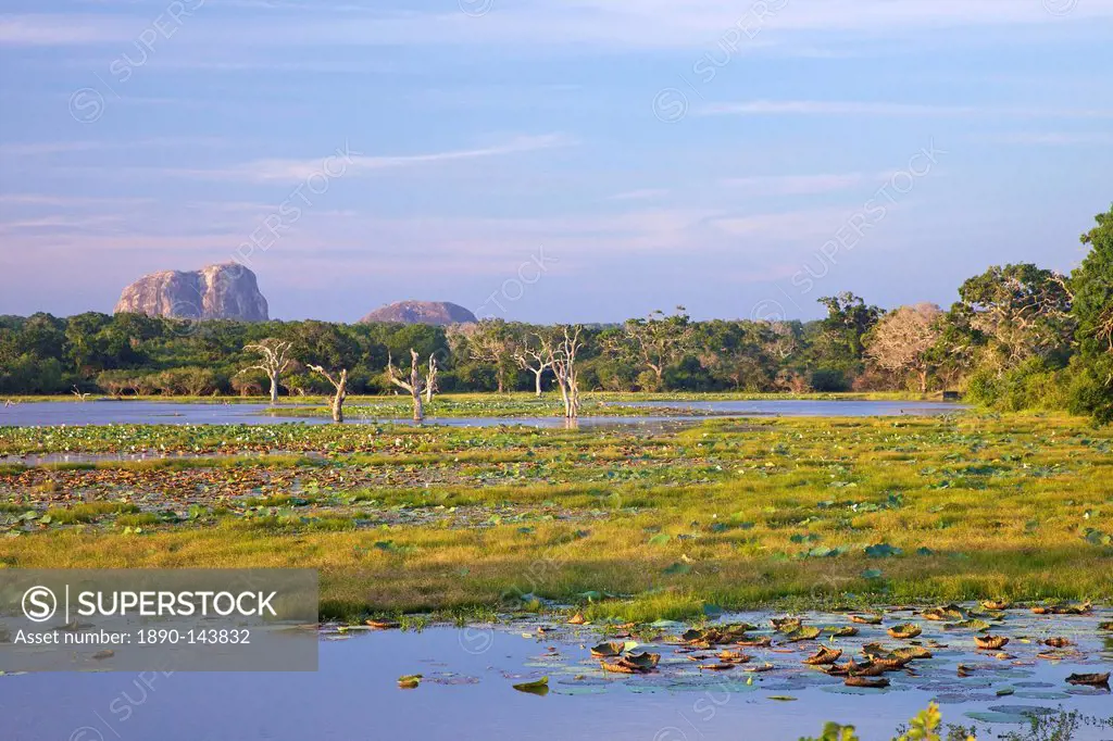Lake and view of Elephant Rock in late afternoon, Yala National Park, Sri Lanka, Asia