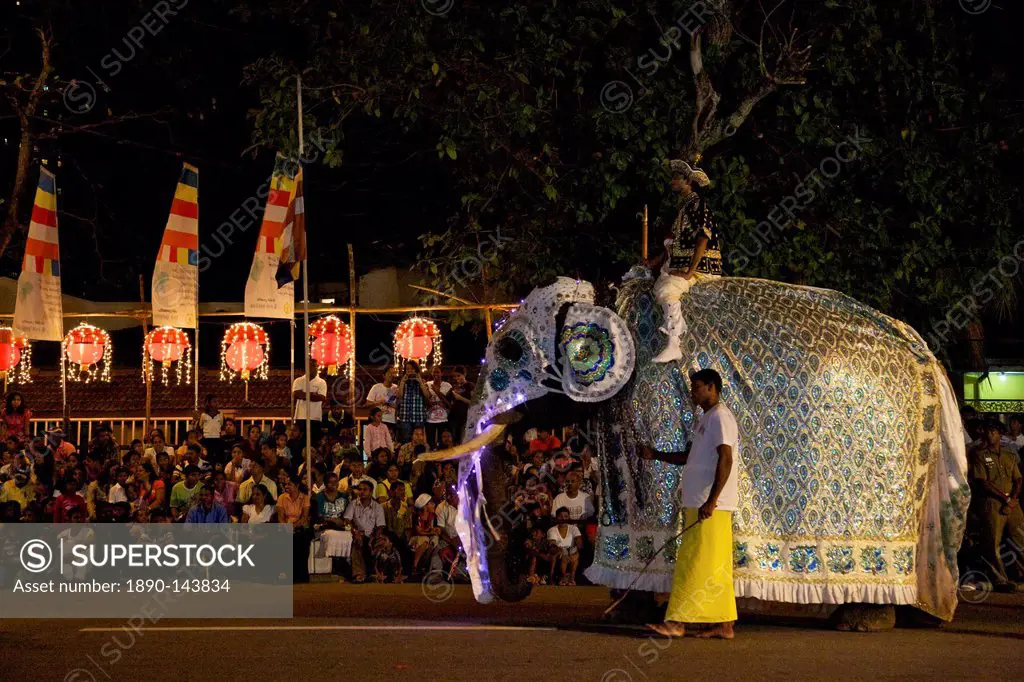 Ceremonial elephant in the Navam Maha Perahera, Colombo, Sri Lanka