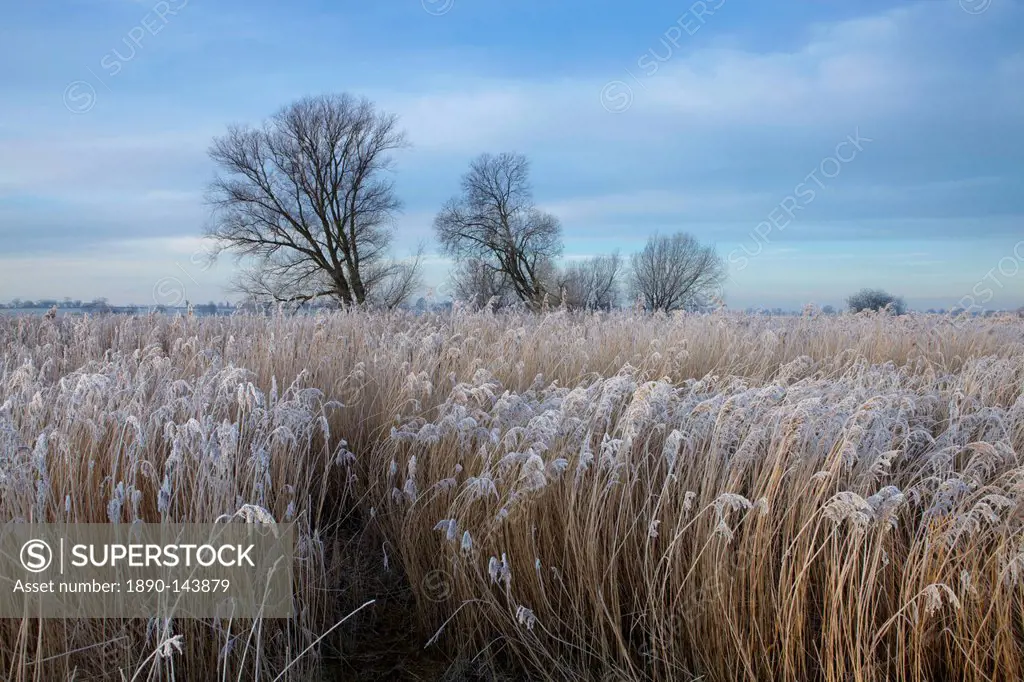 Norfolk Broads winter scene near Ludham Bridge, Norfolk, England