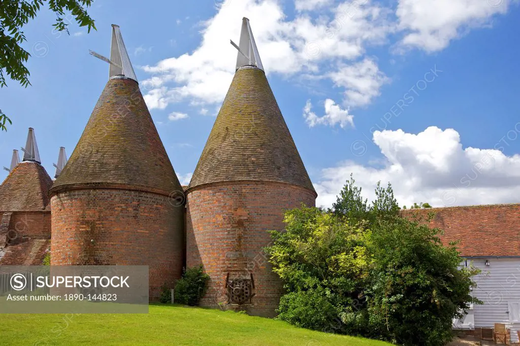 Oast houses hop kilns designed for kilning drying hops, Sissinghurst, Kent, England, United Kingdom, Europe