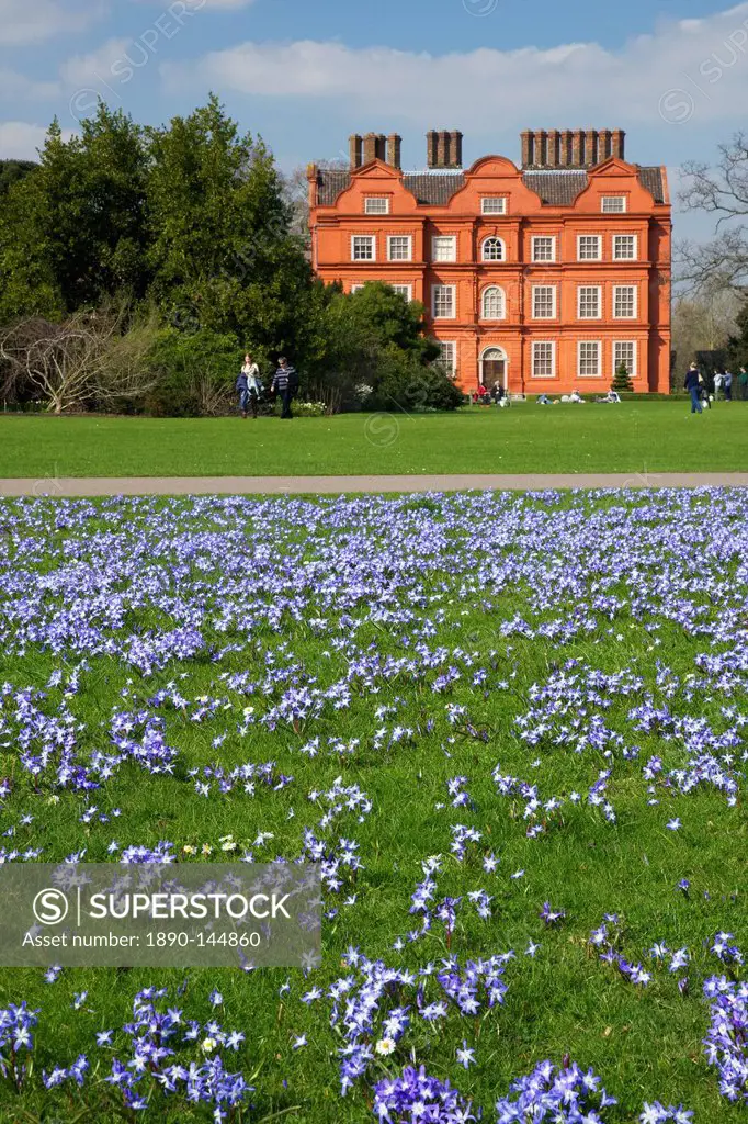 Glory of the Snow flowers in lawns near Kew Palace in spring, Royal Botanic Gardens, Kew, UNESCO World Heritage Site, London, England, United Kingdom,...