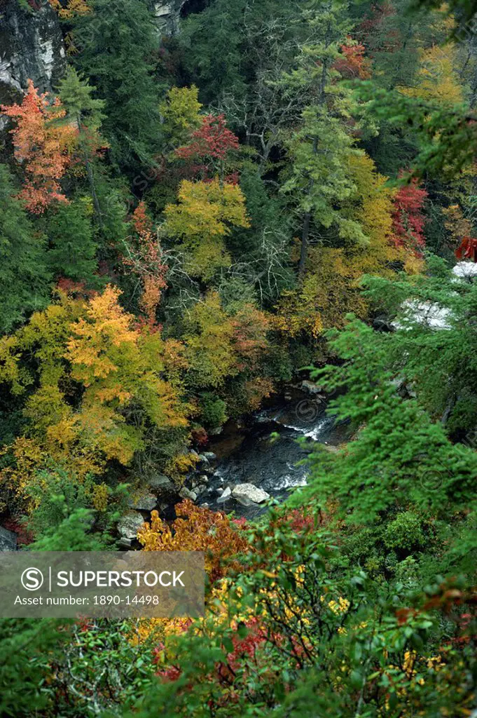 Aerial view over river running through the Linville Gorge and autumnal forest canopy, Blue Ridge Parkway, North Carolina, United States of America, No...