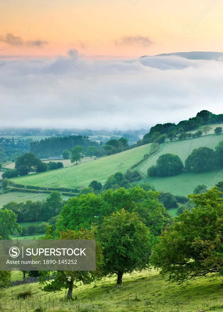 Mist hangs low in a valley at dawn, Brecon Beacons National Park, Powys, Wales, United Kingdom, Europe