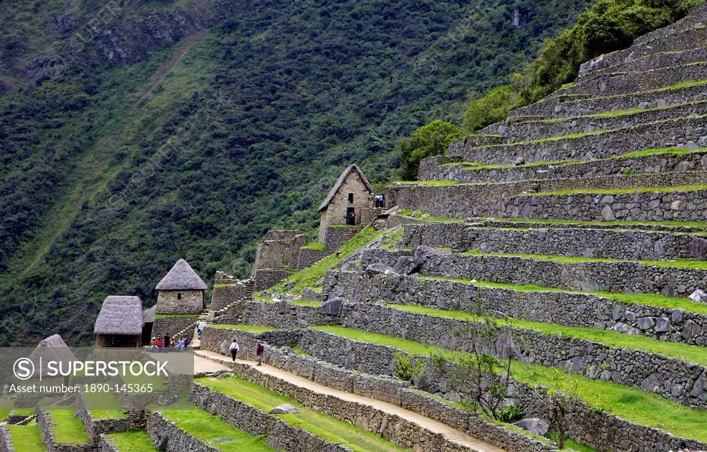 Agricultural terraces , Machu Picchu, peru, peruvian, south america, south american, latin america, latin american South America. The lost city of the...