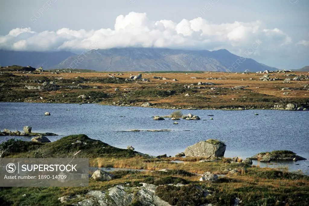 The Twelve Pins Benna Beola mountains rise above loughans on the lowland, Connemara, County Galway, Connacht, Eire Republic of Ireland, Europe