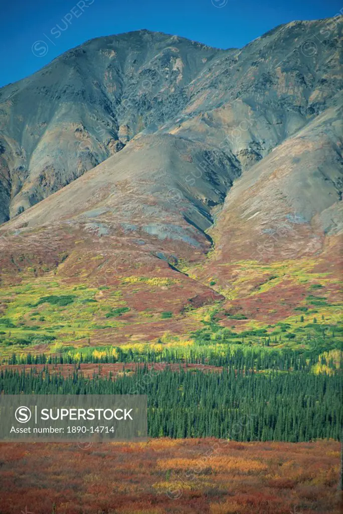 Tundra, Broad Pass, Denali National Park, Alaska Range, Alaska, United States of America, North America