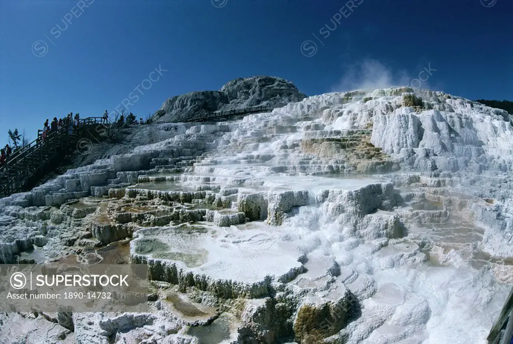 Travertine calcite deposits, Minerva Terrace, Mammoth Hot Springs and Terraces, Yellowstone National Park, UNESCO World Heritage Site, Wyoming, United...