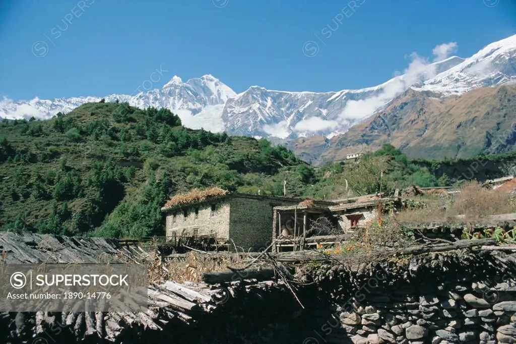 Thakkali house with Dhaulagiri behind, Kali Gandaki Valley, Annapurna region, Himalayas, Nepal, Asia