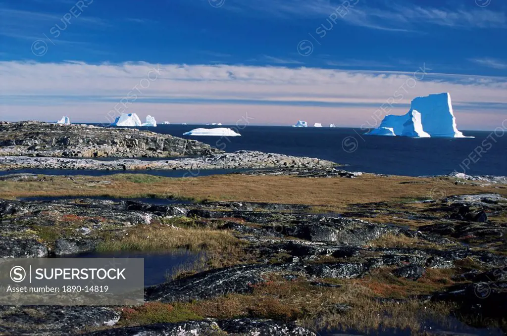 Shore platform with autumn tundra, Qeqertarsuaq Godhavn, Disko Bay, Island, west coast, Greenland, Polar Regions