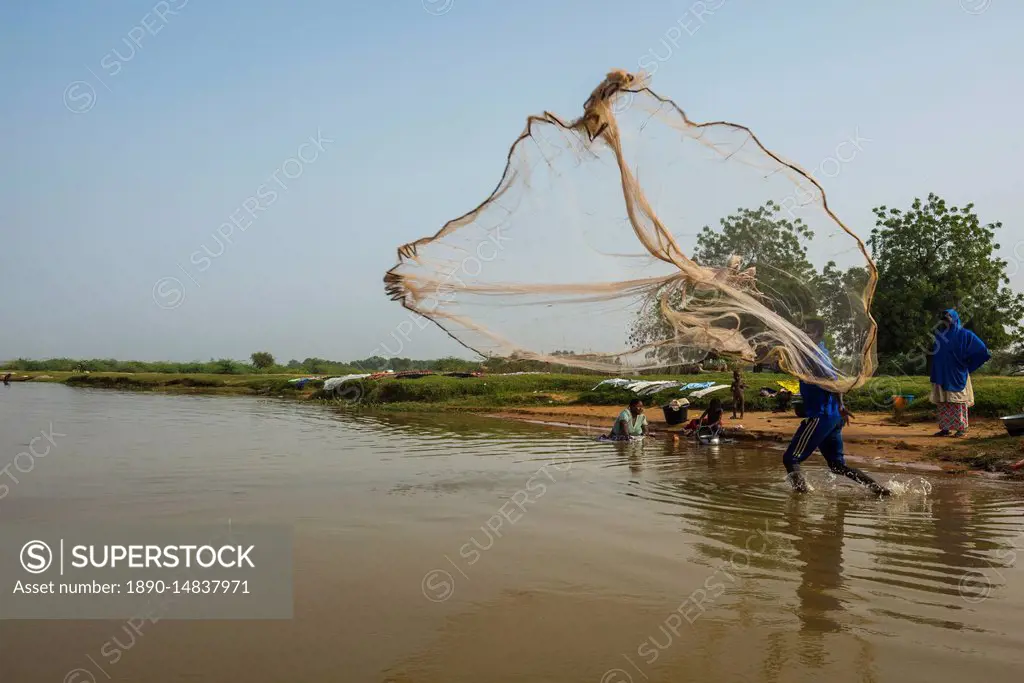 Fisherman throwing his fishing net into the River Niger, Niamey, Niger,  Africa - SuperStock