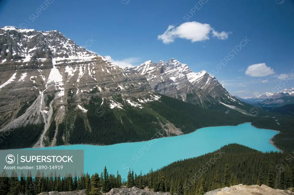 Peyto Lake, coloured by glacial silt, Banff_Jasper National Parks, Canada, North America