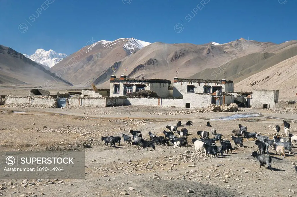 Village in Ra valley above Tingri, Cho Oyu and Himalayas in distance, Tibetan Plateau, Tibet, China, Asia